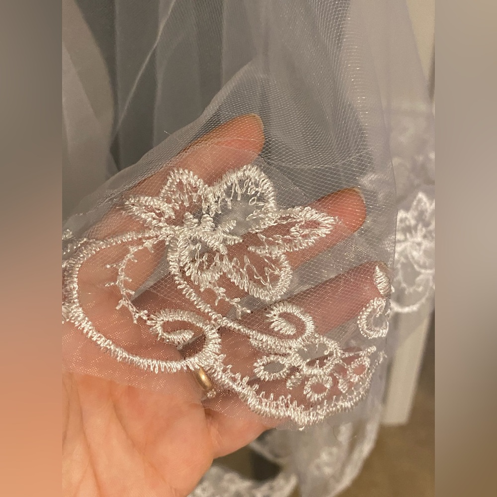 Veil - Picture 3 of 4